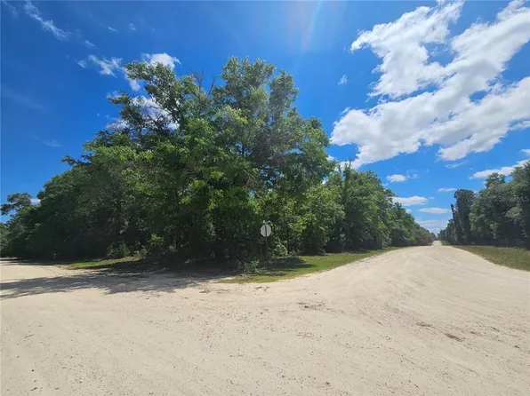 NE 93rd Ter Lot 18, Bronson, FL 32621