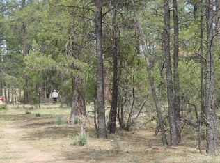 951 S Central Ave, Show Low, AZ 85901