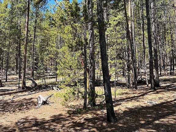 3rd image of 163 CO RD 665 LOT 22