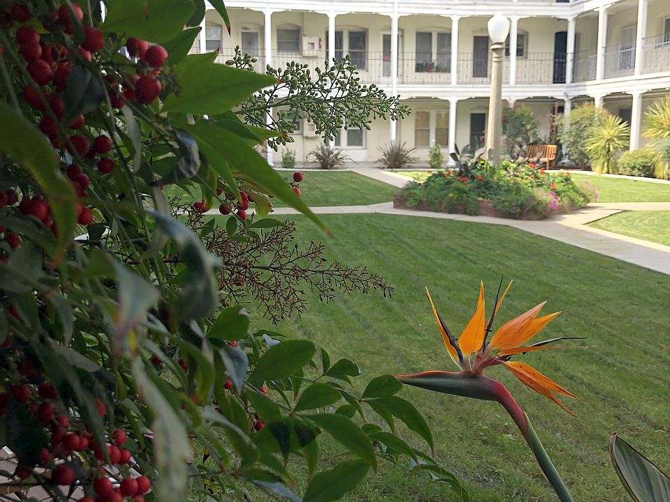 Beautiful Courtyard