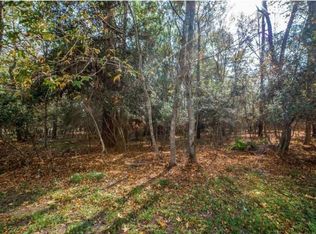 3306 Vineyard Ln, Montgomery, TX 77356