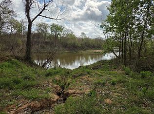 0 Kings Oak Dr, Damon, TX 77430