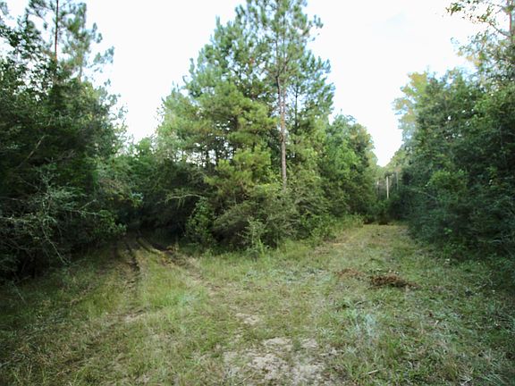 4th image of 11 Seven Acres Co Hwy #280-A