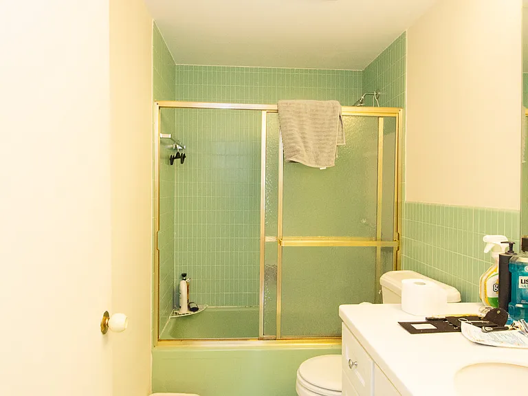 22 Chestnut Pl #501 — Photo 10