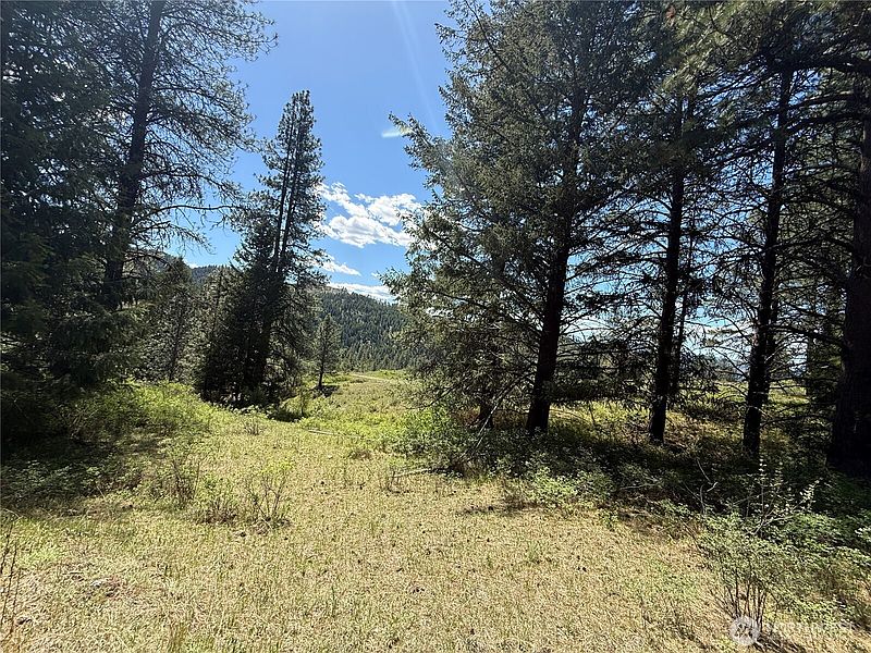 3rd image of 0 TBD Fir Lane