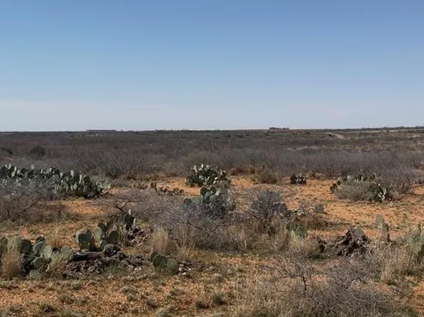 2 Fm 2319, Colorado City, TX 79512