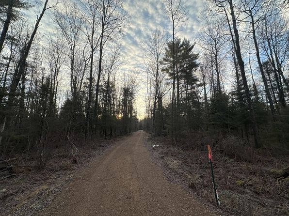 4073 E Buckatabon Rd, Conover, WI 54519