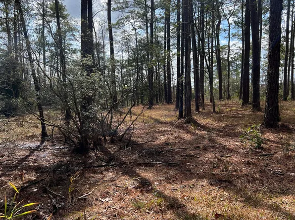 101 Starboard Circle, Oriental, NC 28571