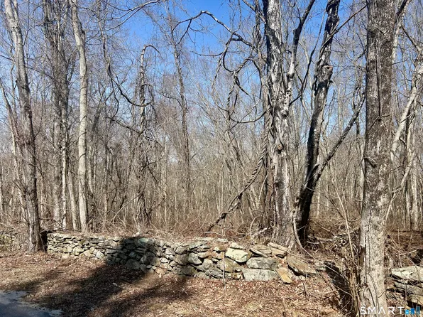 Reilly Road, Hampton, CT 06427