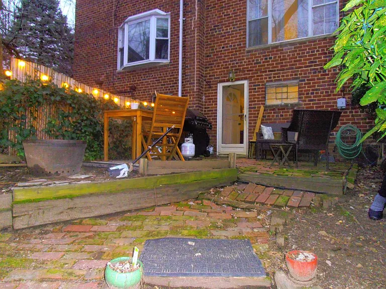 Back garden