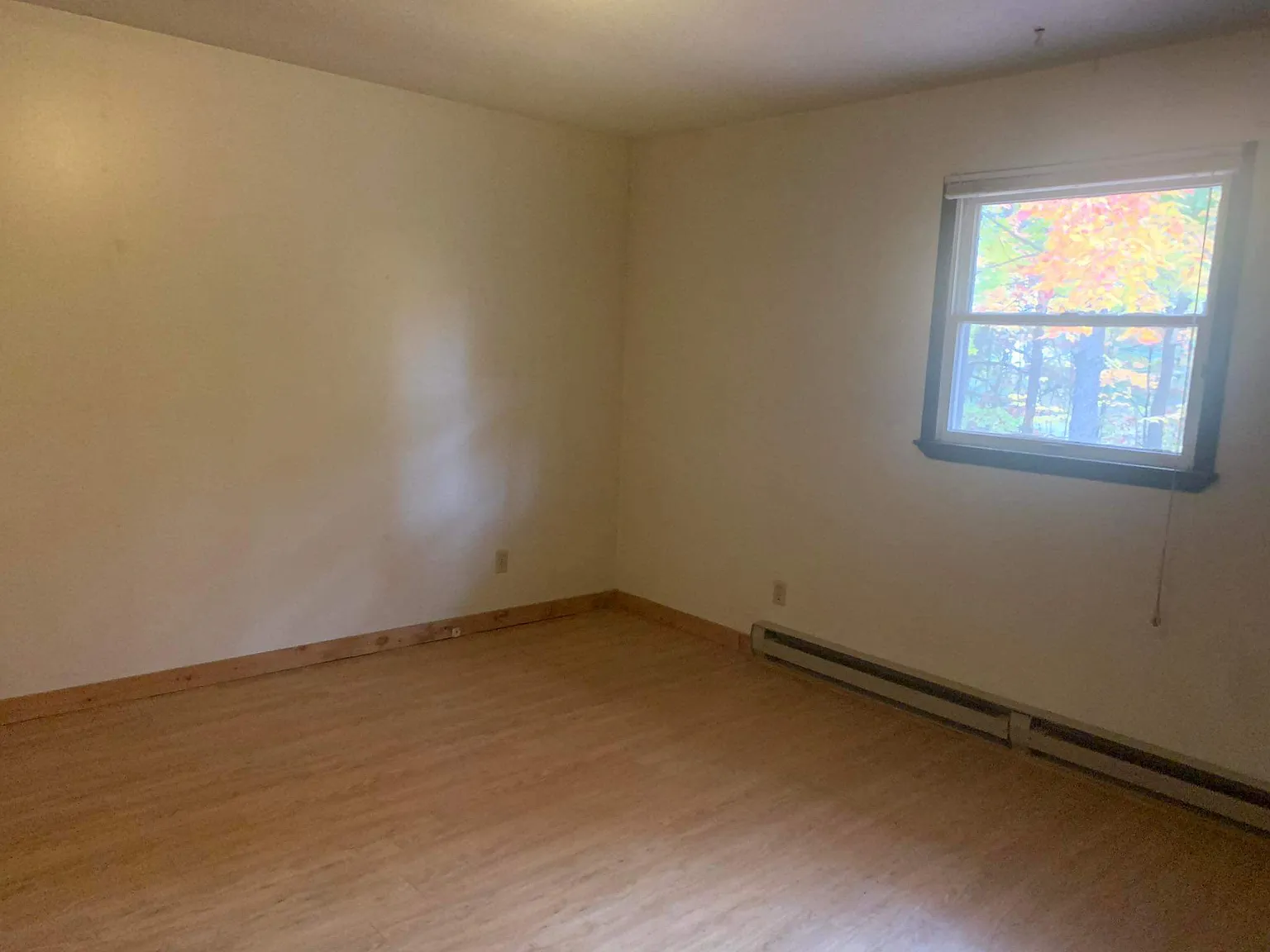 2 bed, 830 sqft, $1,100 — Photo 1