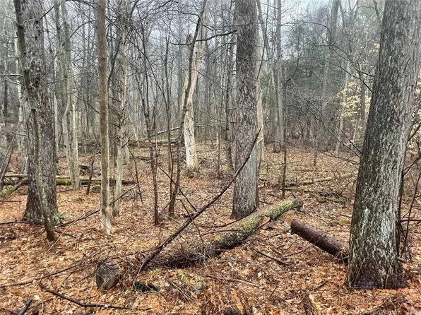 0 Cox Road, Portland, CT 06480