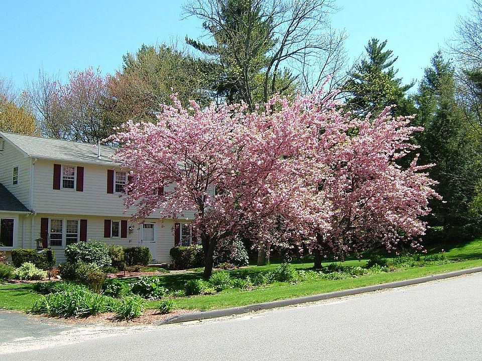 4 Crossman in the Spring