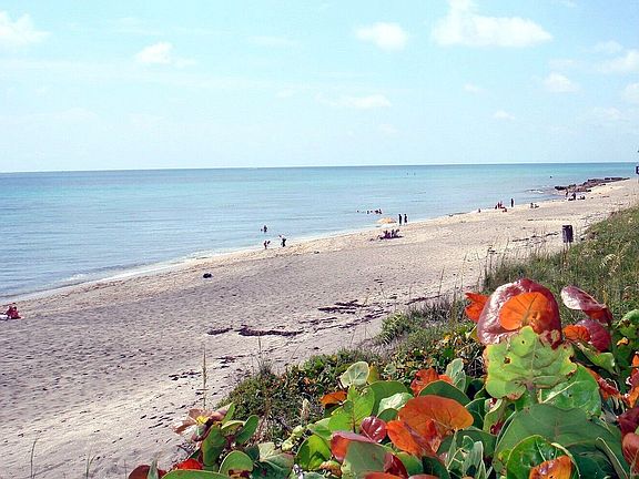 BEACH AT JUPITER ISLAND
