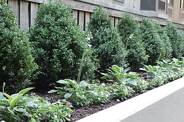 Rented by Realty Operations Group