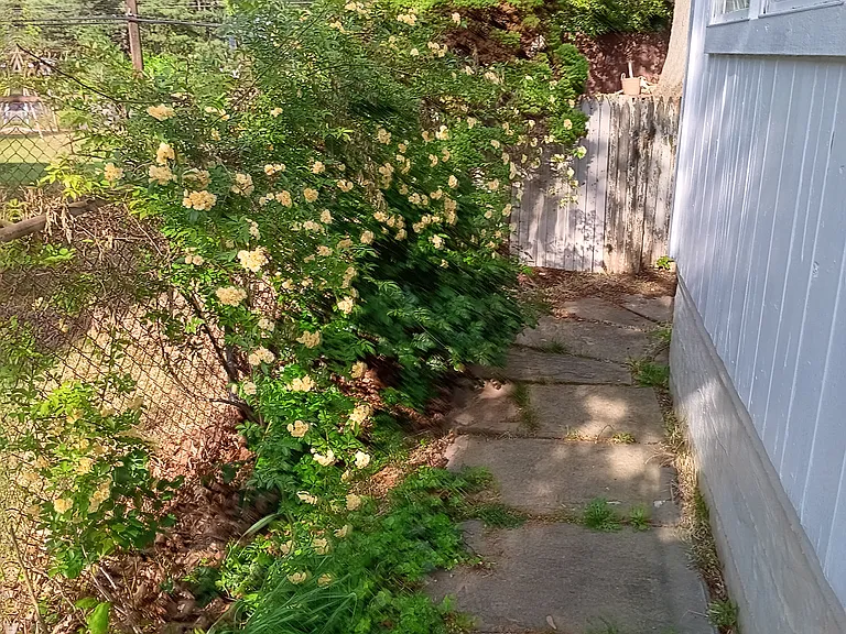 11111 Brandywine St — Photo 5
