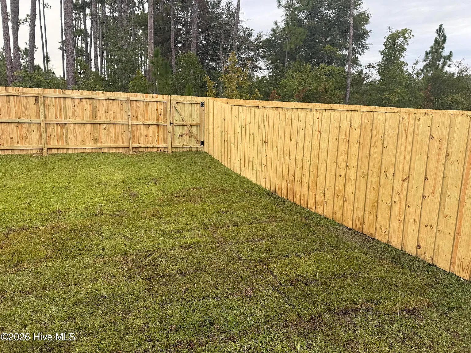 4 bed, 2.0 bath, 1775 sqft, $2,200 — Photo 3