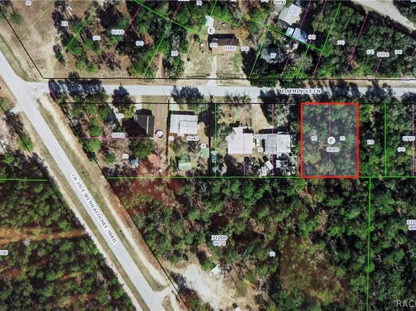 4096 E Seminole Ln, Dunnellon, FL 34434
