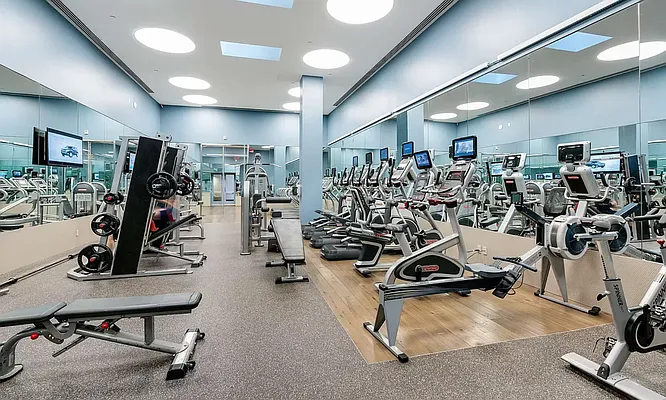 Rented by Mayell LLC | media 16