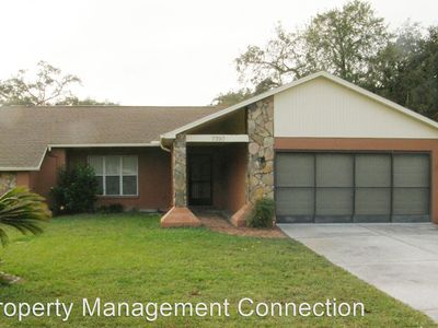 7397 Philatelic Dr, Spring Hill, FL, 34606