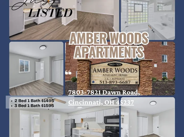 Amber Woods Apartment, 7821 Dawn Rd #06403996c, Cincinnati, OH 45237