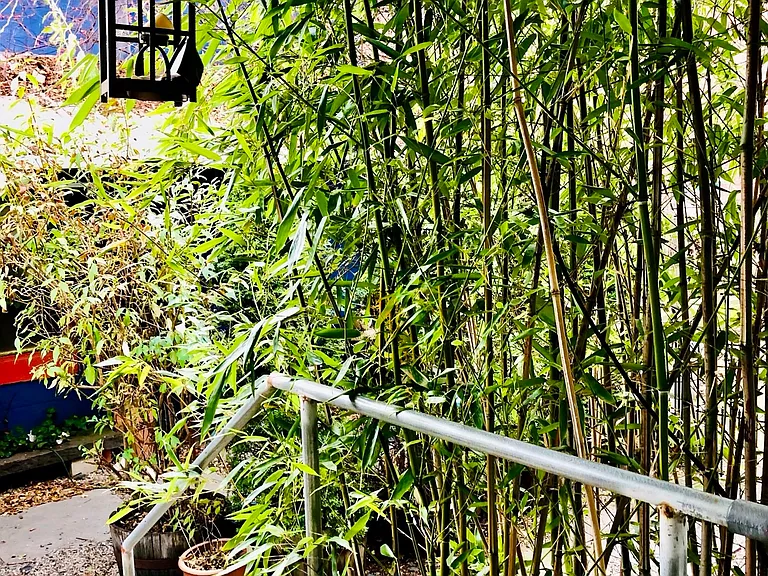 11 Edwards St #1 — Photo 7