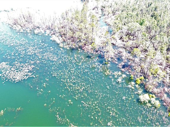 3rd image of 139 Lake Merial Shores Dr