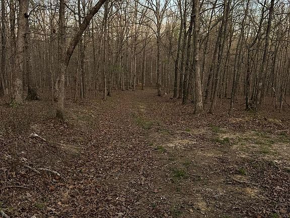 4th image of 0 Powell Rd