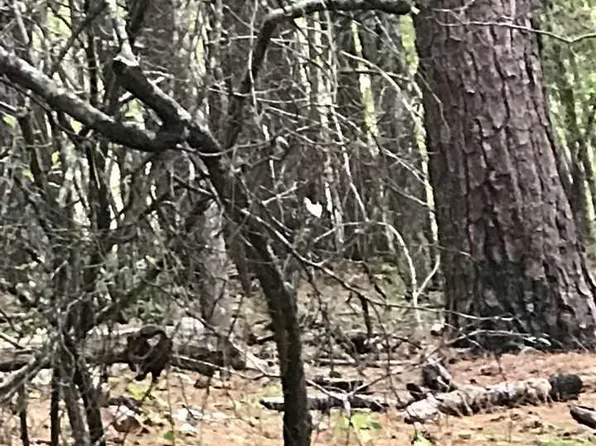 Constellation Dr #71, Alpine, AL 35014