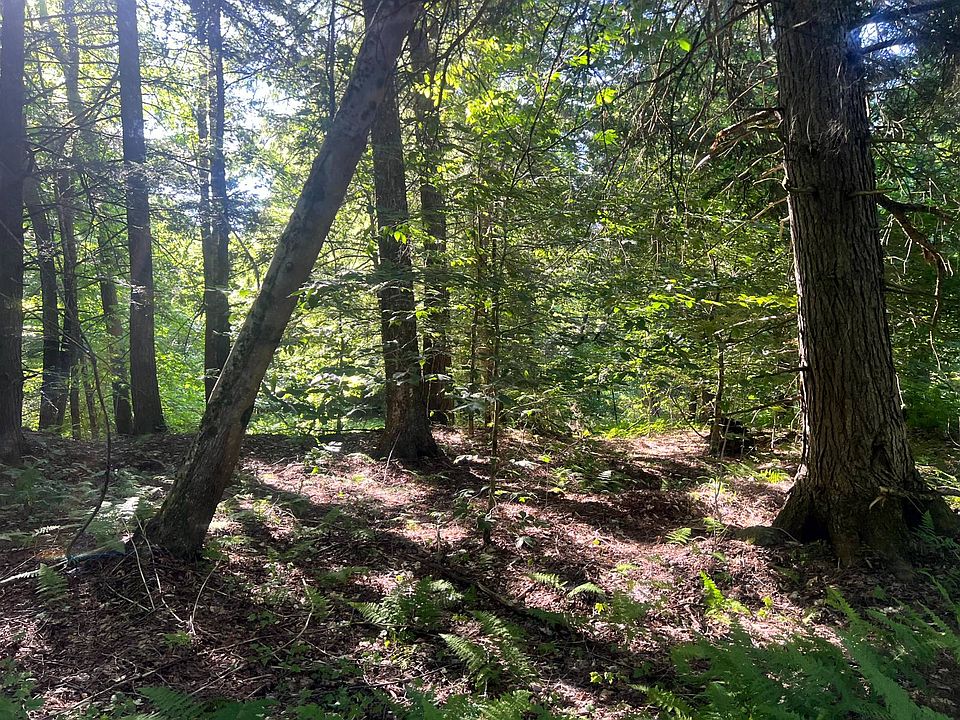 1st image of 7 Carleton Pond Rd #7
