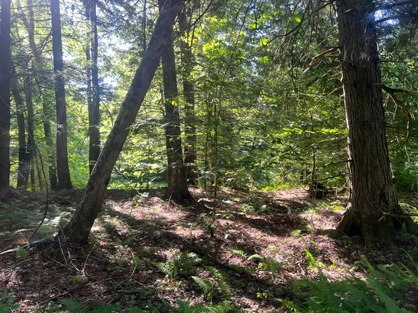 7 Carleton Pond Rd #7, Camden, NY 13316