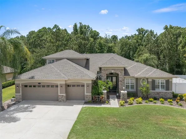 16204 Ivy Lake Dr, Odessa, FL 33556