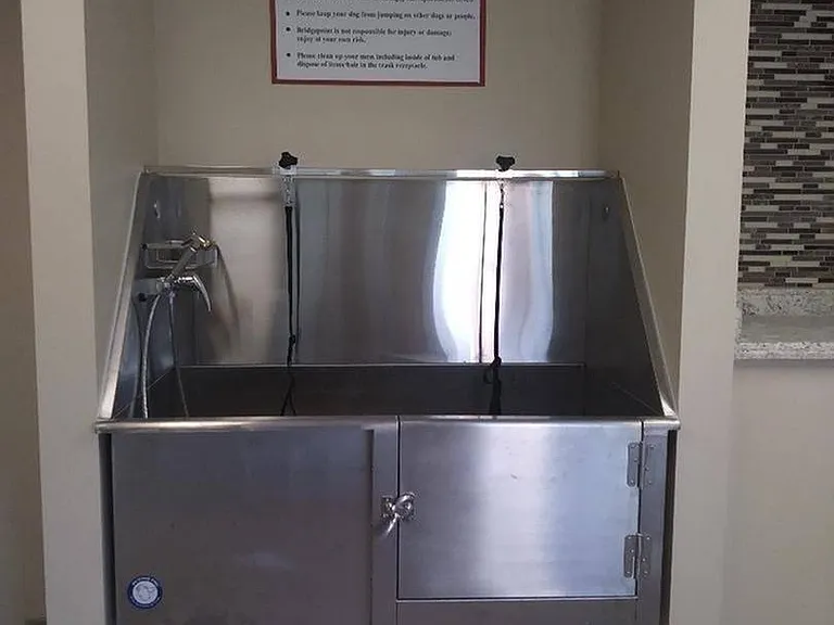 Dog Washing Station