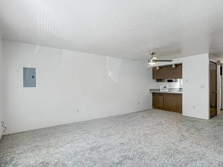 6911 Rainier Dr #3 — Photo 5