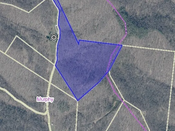 0 Smiths Run, Harrisville, WV 26362