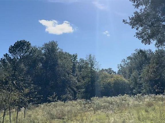 4th image of 2307 Garfield St