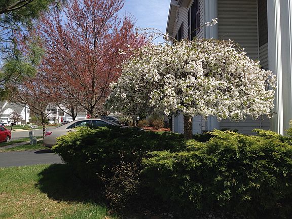 2nd image of 23 Bearsley Dr