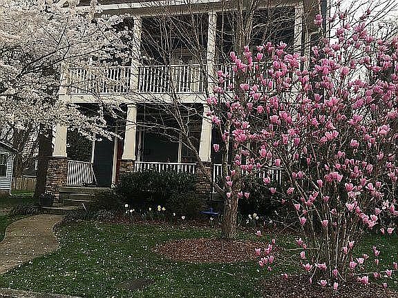 Front of house in Spring