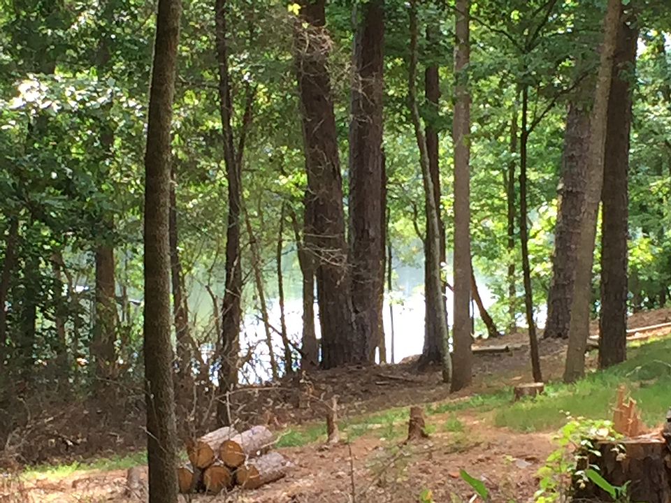 Pond behind north section.
