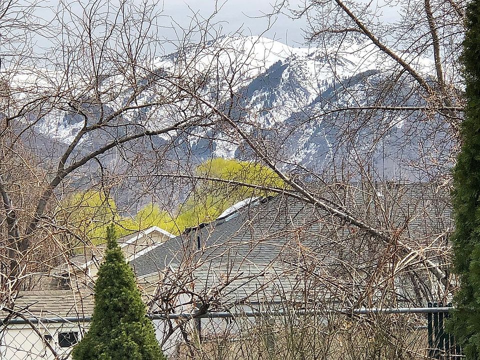 Sunroom view
