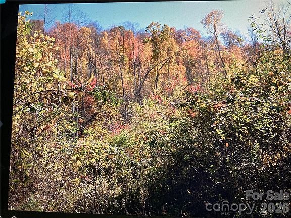 3rd image of Prices Creek Rd