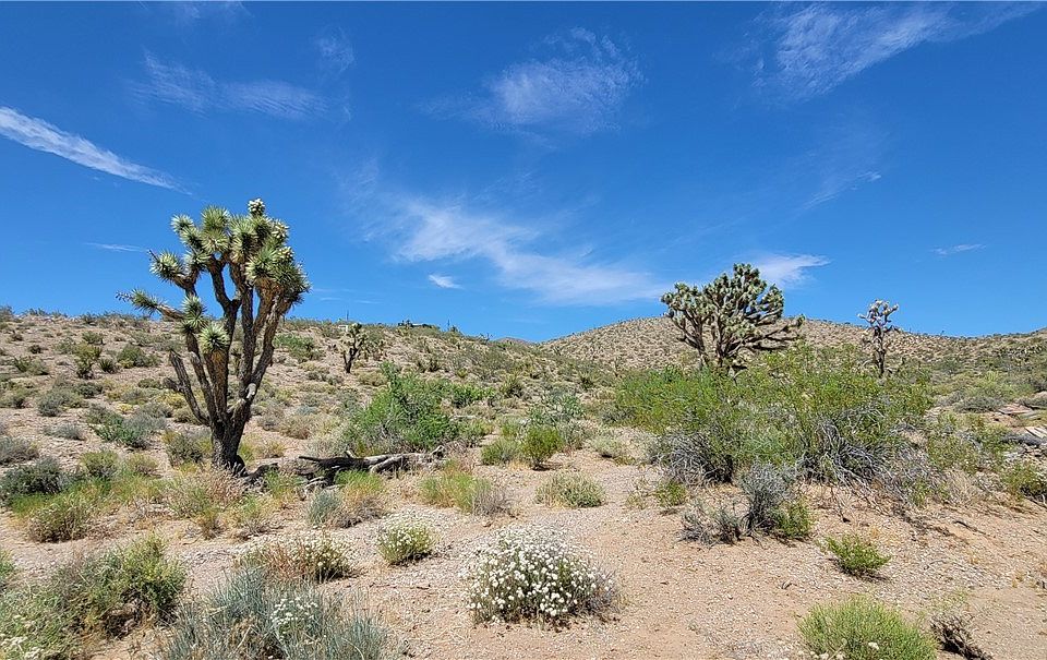 1st image of 329-05-411 Oro Drive