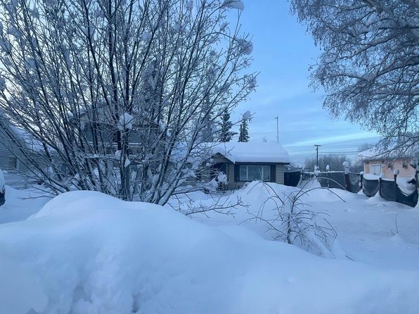 fairbanks-alaska-74503183 picture