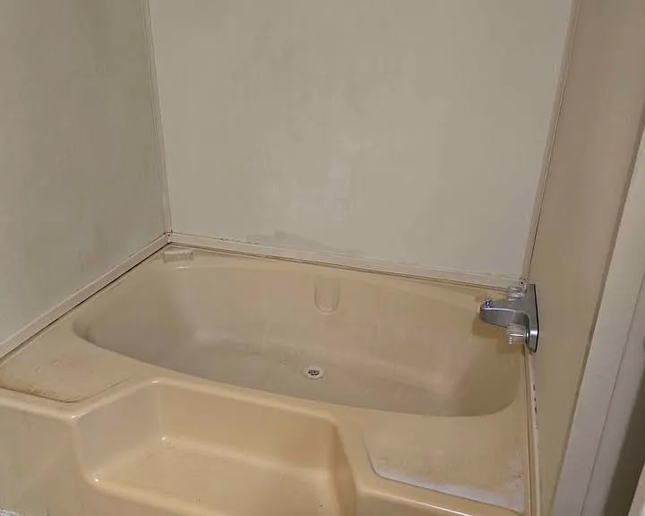 107 Cocateil Ln #255 — Photo 7