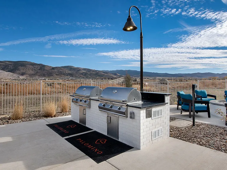 BBQ Grills