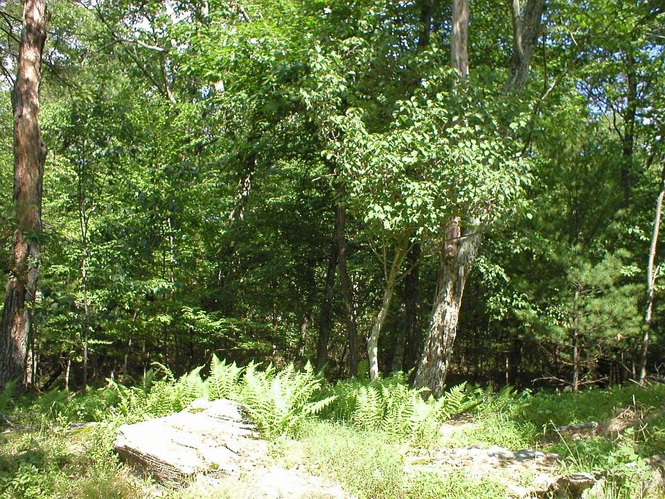 2nd image of LOT 306 Acacia Ct