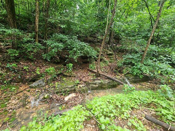 2nd image of 513 Stone Road