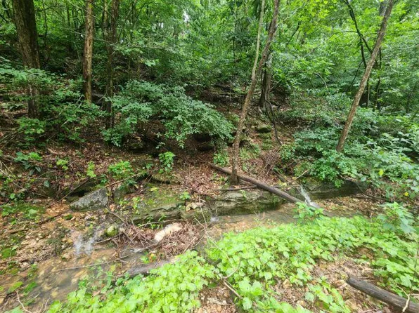 513 Stone Road, Southwest City, MO 64863