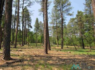 47-48 49 Camino Facil Rd, Rociada, NM 87742