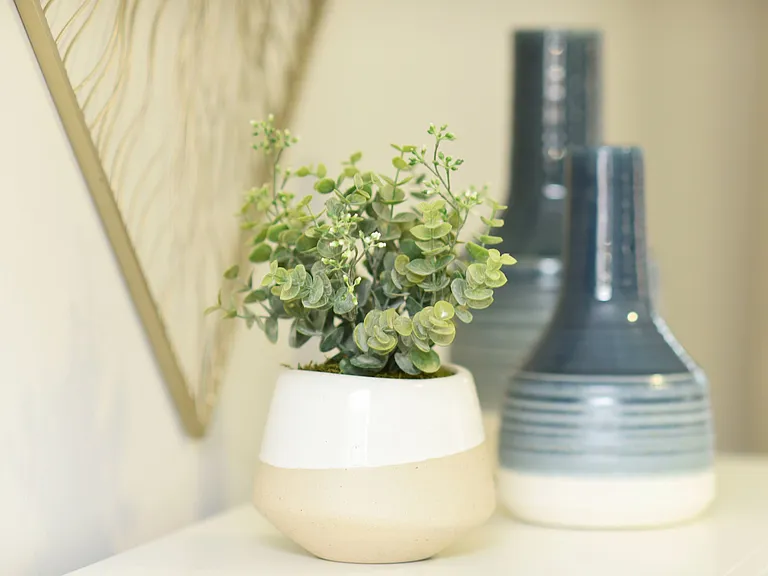 Modern Decor